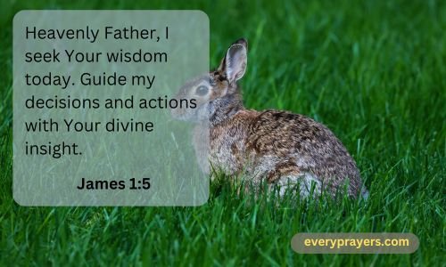 A Prayer for Wednesday Wisdom