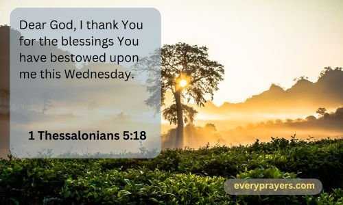 A Prayer for Wednesday Gratitude