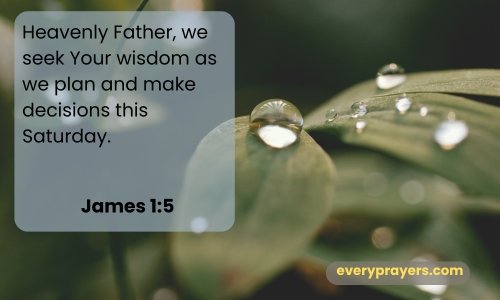 A Prayer for Wisdom on Saturday