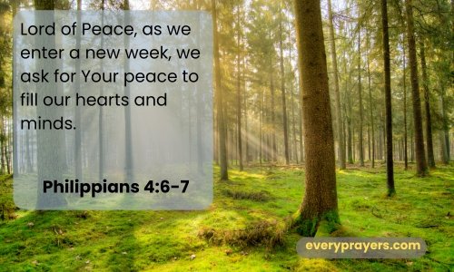 A Prayer for New Week Peace