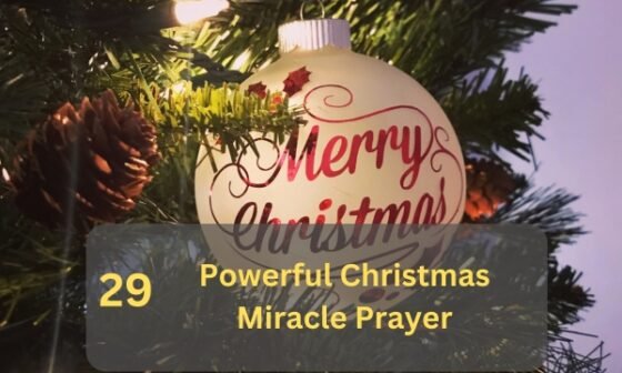 Christmas Miracle Prayer