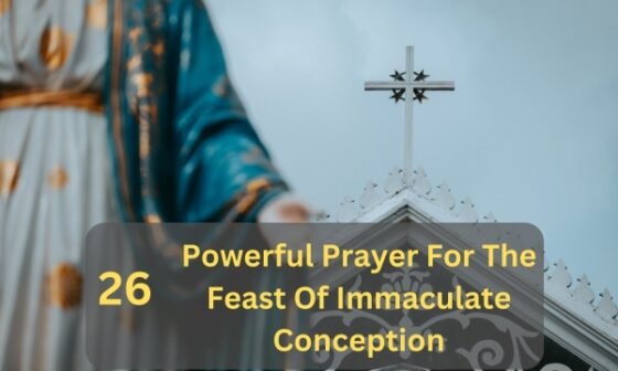 Prayer For The Feast Of Immaculate Conception