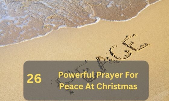 Prayer For Peace At Christmas