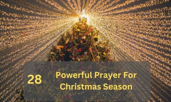 Prayer For Christmas Season